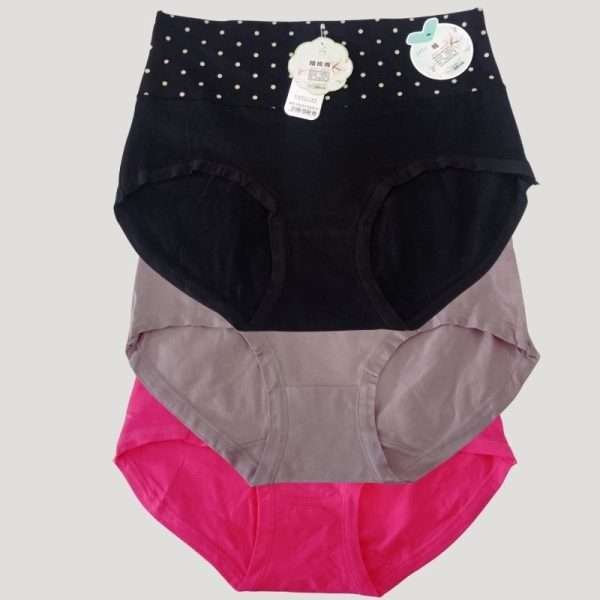 PANTY ALTO DE ALGODON IMPORTADO