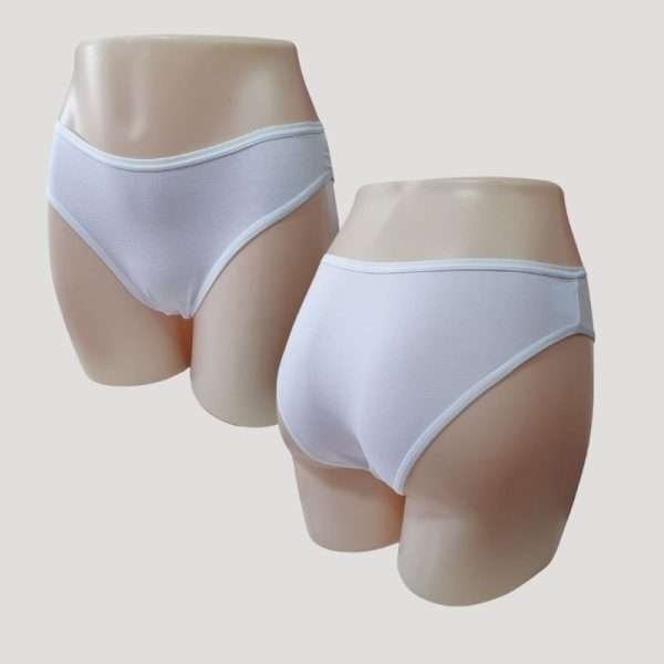 PANTY CLASICO ALGODON PREMIUM